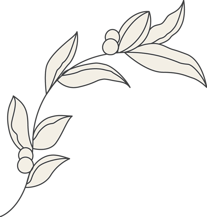 beauty-esthetician-42 beauty esthetician 42